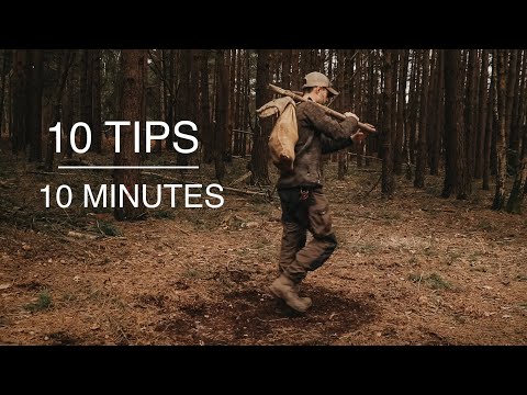 Video: 10 tipů pro kempování se svým štěňátkem