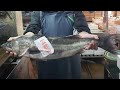 【職人技】100年続く魚屋の特大スズキ・捌き方・下処理・裏技How to prepare large fish