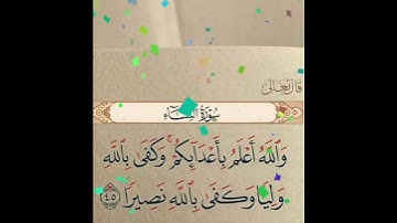 سورة النساء الآية ( 45 )
