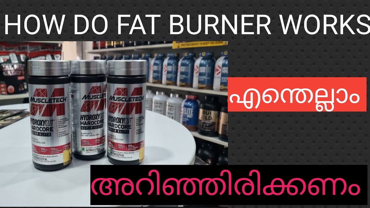 HOW DO FAT BURNERS WORK?(MALAYALAM) YouTube