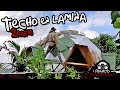 Techo en lámina 2da parte -Domo Seta-