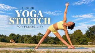 1 - Hour Yoga Stretch Release Tension & Improve Flexibility