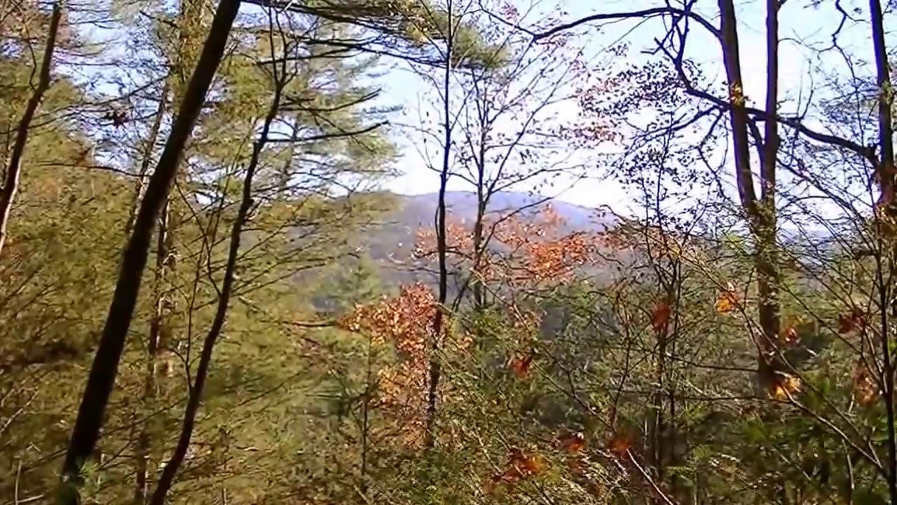 Documentary, Appalachian wilderness backpacking, 4 days to top of mountain with dog.