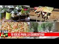 Aprovecha la cuarentena para hacer estas 10 cosas (ideas para la casa, la huerta y el jardín)