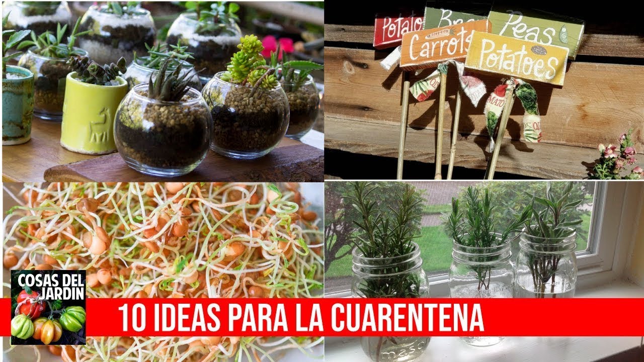 Aprovecha la cuarentena para hacer estas 10 cosas (ideas para la casa, la huerta y el jard�n)