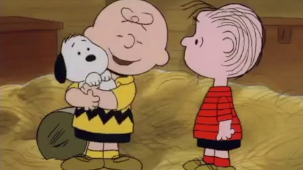 Download Charlie Brown meets Snoopy