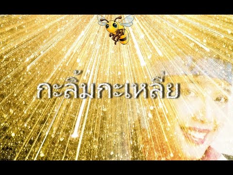 กะลิ้มกะเหลี่ย (พุ่มพวง ดวงจันทร์) คาราโอเกะ - Youtube