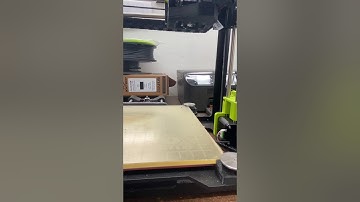 Lulzbot Mini 2 bed leveling