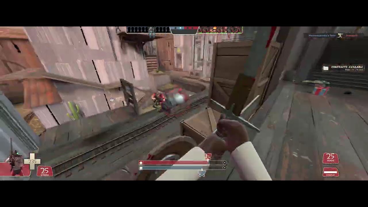 Vehicular Manslaughter