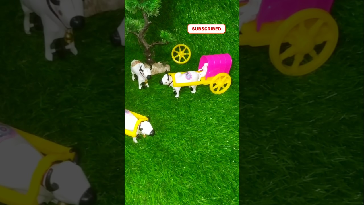 gorur video, gorur gari, gari video, goru, bullock cart, gorur gadi, cow video 