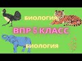 ВПР биология 5 класс 2021 демо версия