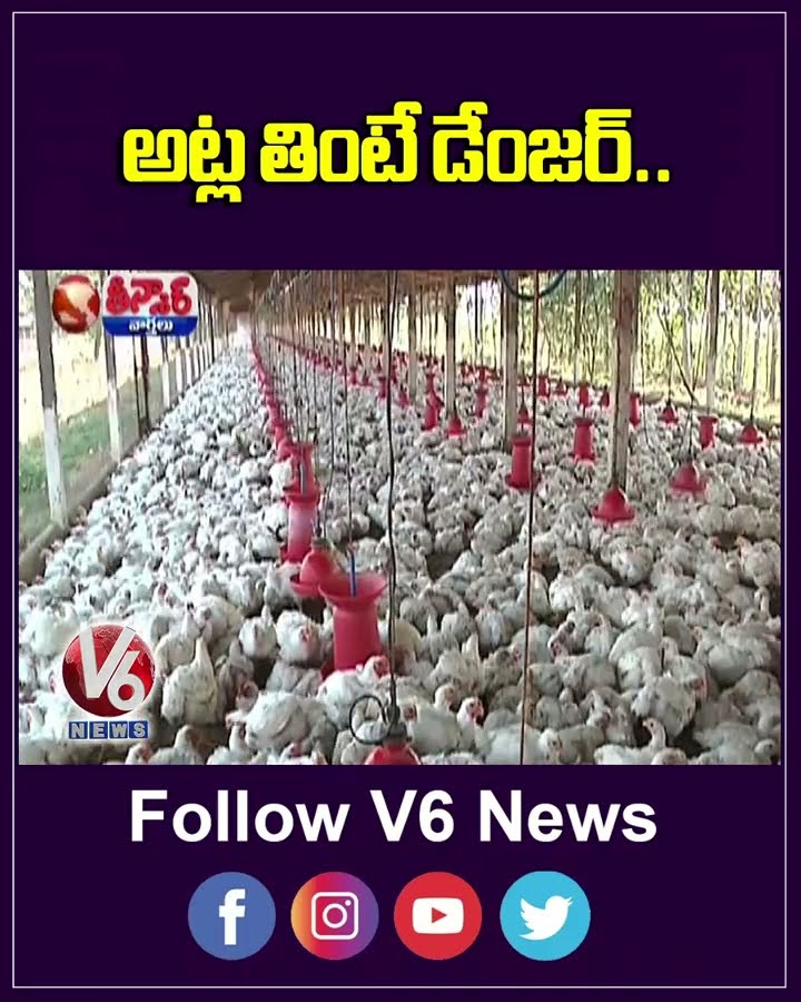 Antimicrobial Resistance Genes Detected in Poultry from Kerala and Telangana | V6 Shorts