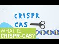 What is CRISPR-Cas?