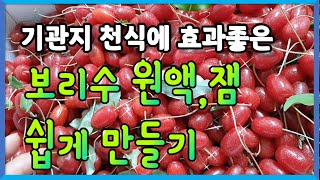 보리수원액 쉽고 간편하게 담는법, 맛있는 보리수잼 만들기