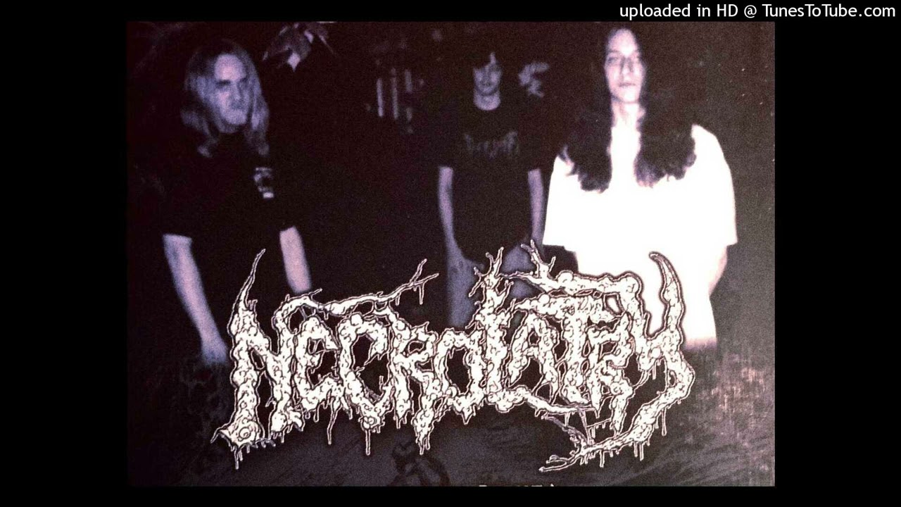NECROLATRY (USA,OHIO) - ABSORPTION OF FLESH DECAYED (1993)