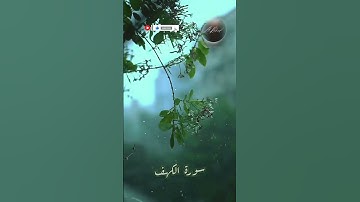 سورة الكهف || رهف أبوزيد 💚💚🌾
