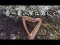 春一番の風は激しく(金延幸子)/ハープ弾き語りカバー/SachikoKanenobu