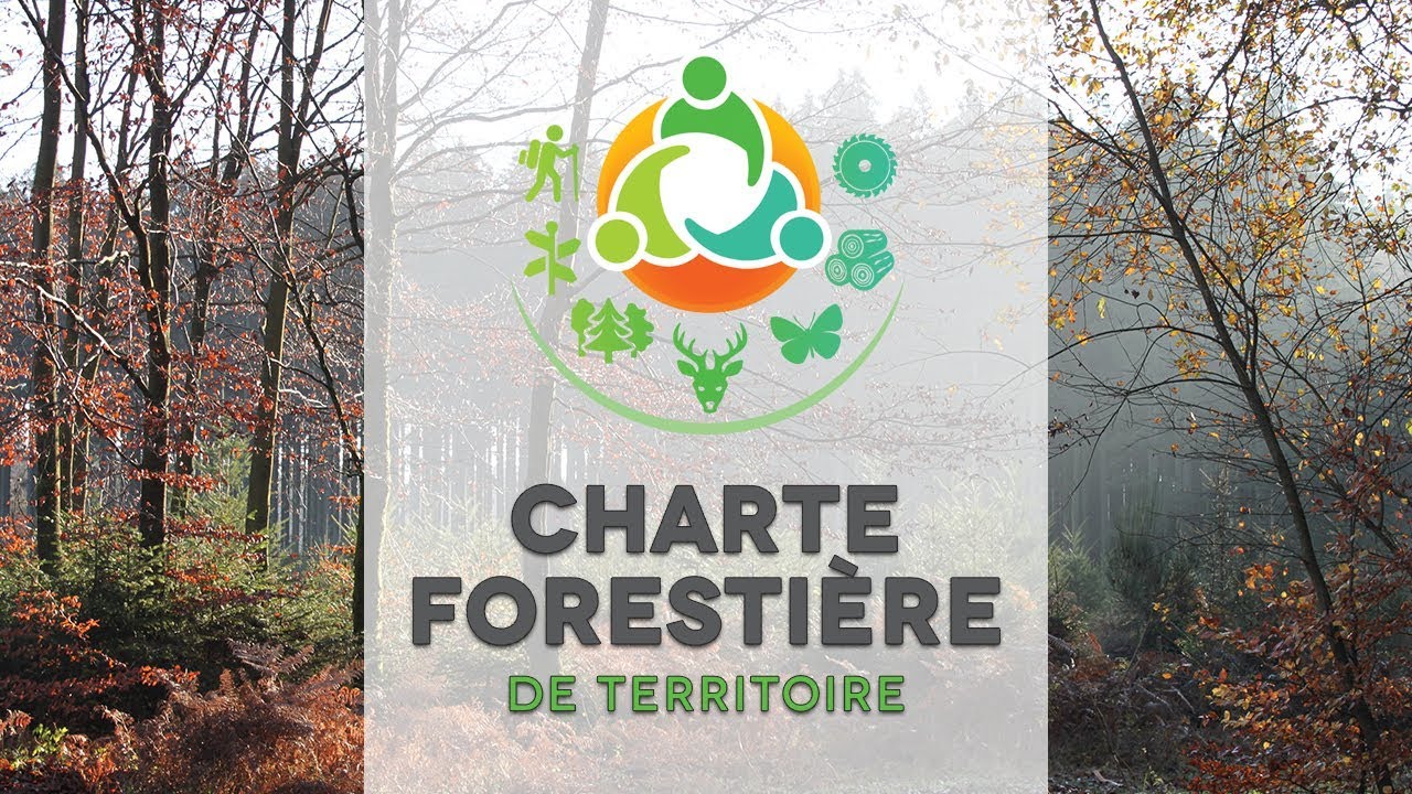 Charte Forestière de Territoire : une première en Wallonie