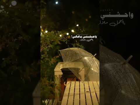 محمد فؤاد ديمن فبالي وبعد لليلي
