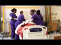 HCC Licensed Vocational Nursing Program LVN HCC Licensed Vocational Nursing Program LVN