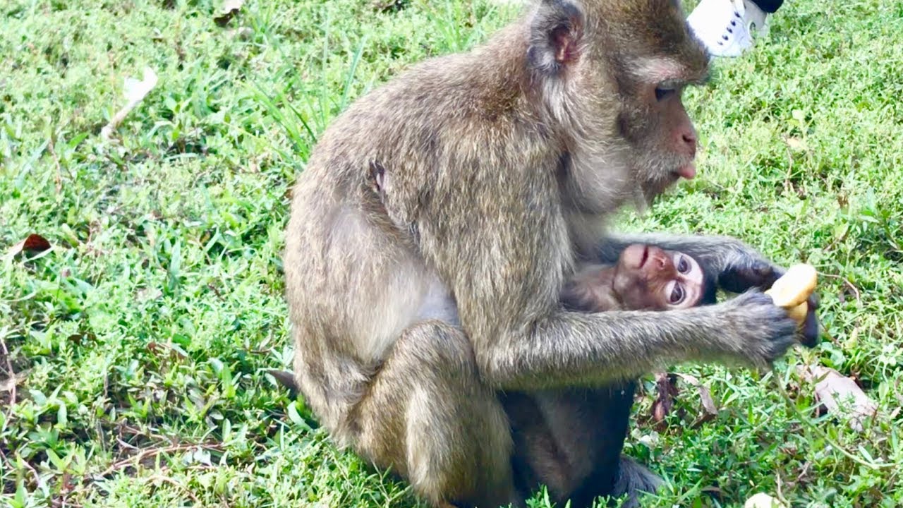 New Update, Poor Baby Lori Very Very Happy When Met with Amari her Mom, Poor Lori Look miss Mom.