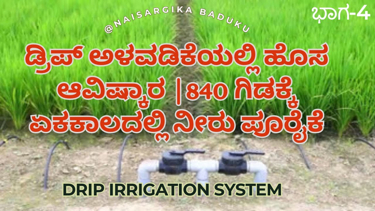 ಡ್ರಿಪ್ ಅಳವಡಿಕೆಯಲ್ಲಿ ಹೊಸ ಆವಿಷ್ಕಾರ|840 ಗಿಡಕ್ಕೆ ಏಕಕಾಲದಲ್ಲಿ ನೀರು ಪೂರೈಕೆ Drip Irrigation system in ಕನ್ನಡ