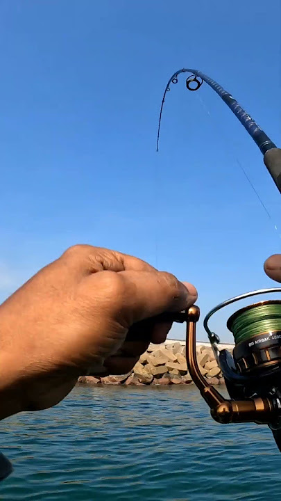 when God is blessed you with GT just throw your lure and hook it π₯π«‘ #gloriousgod #selah#fishing