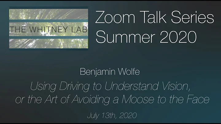 Benjamin Wolfe | Using Driving to Understand Visio...