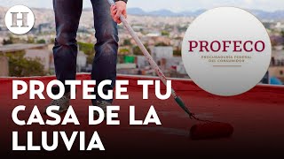 Profeco revela cuál es el más barato y mejor impermeabilizante para esta temporada de lluvias