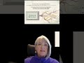 Hypervigilance: The Invisible Static Affecting You and Kids #shorts