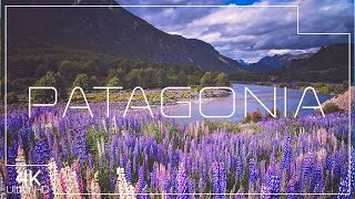 Discover the secrets of Patagonia in 4K