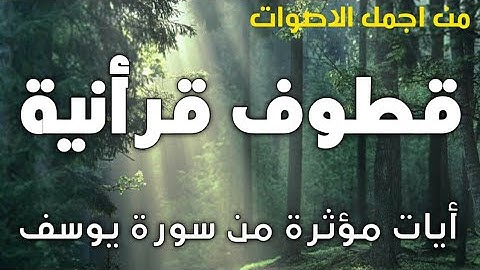 سبحان من رزقه هذا الصوت من سورة يوسف ❤ ايات وتلاوات مؤثرة