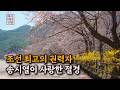 조선 최고 권력자, 송시열이 사랑한 절경 #화양구곡 #송시열 #괴산여행 #조선역사 #국내여행 #한국문화유산 #화양서원 #화양계곡 #절경 #봄