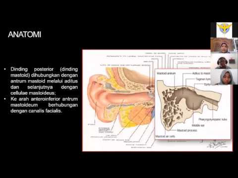 Video: Adakah efusi mastoid sama dengan mastoiditis?