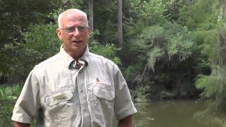 Georgia Alligator Season 2015