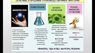 Урок 2.6. Медицинские осмотры