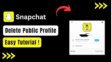 How to Delete a Public Profile on Snapchat