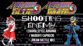 Mega Man Battle Network 3 - Shooting Enemy (Touhou Style Arrange)