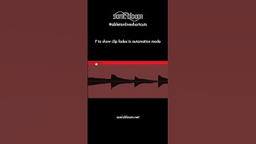 Show/Hide Clip Fades in Automation Mode - Ableton Live Shortcuts #shorts
