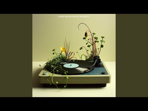 在 YouTube 上觀看「Moonlit Work」