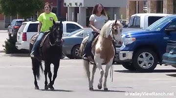 High Brow Montana and Cuttin Clarita - riding in town - Valley View Ranch