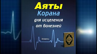 Аят Шифа - исцеляющие стихи Корана! Ayat Shifa #коран #сура #аят