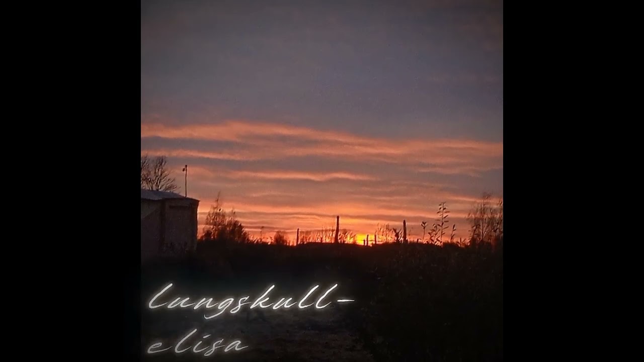 lungskull – elisa