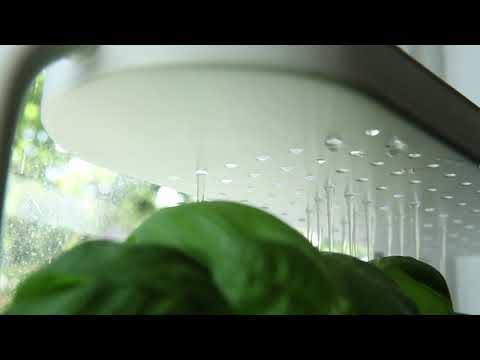 Кашпо для комнатных цветов Umbra Кашпо для комнатных цветов Umbra