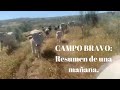 CAMPO BRAVO: Labores de un día. Cambios de Cercado y Destete.