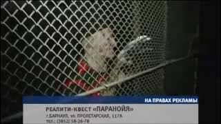 Сюжет «Паранойя и Фредди» 21.05.15 (16+) screenshot 5