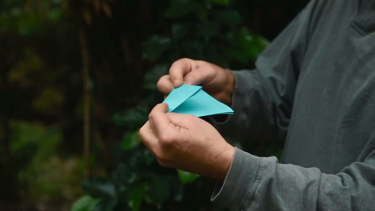 The Magic of Paper: Kozmo Mimzi on Creativity, Plants & Ancient Inspiration