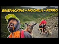 Llevo a HIPPIE en una MOCHILA mientras hacemos BIKEPACKING | 🇬🇪NODO#28