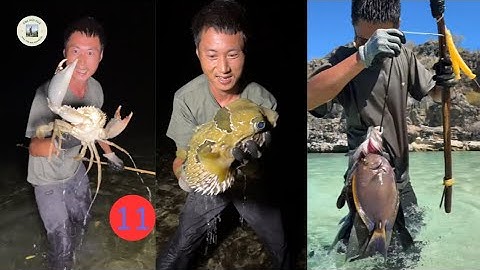 TRỌN BỘ FULL TẬP 11 : Sinh Tồn Nới Hoang Đảo ở eo biển Mozambique của châu Phi