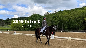 2019 Intro C with Judges Scores and Comments